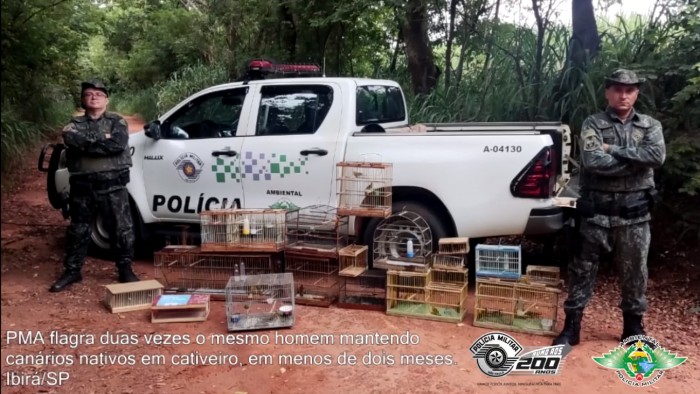 Reincidente em crime ambiental é multado em quase R 50 mil por