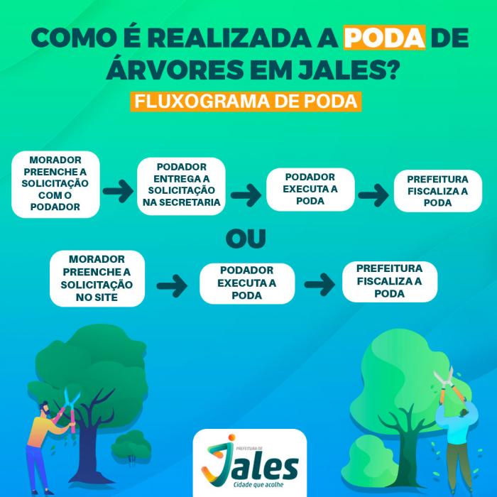 Prefeitura orienta sobre como realizar poda e corte de árvores no