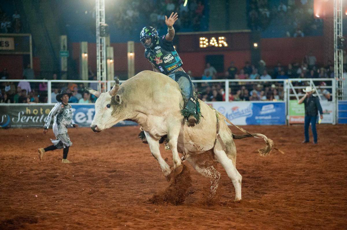 Peões fazem tour pela fazenda e ficam encantados com o búfalo - A