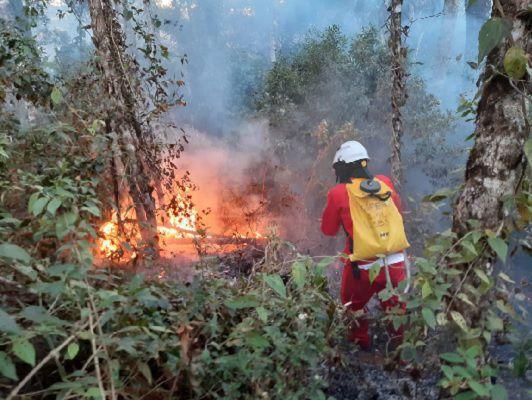 Governo De Sp Decreta Situação De Emergência Em 45 Cidades Devido Aos